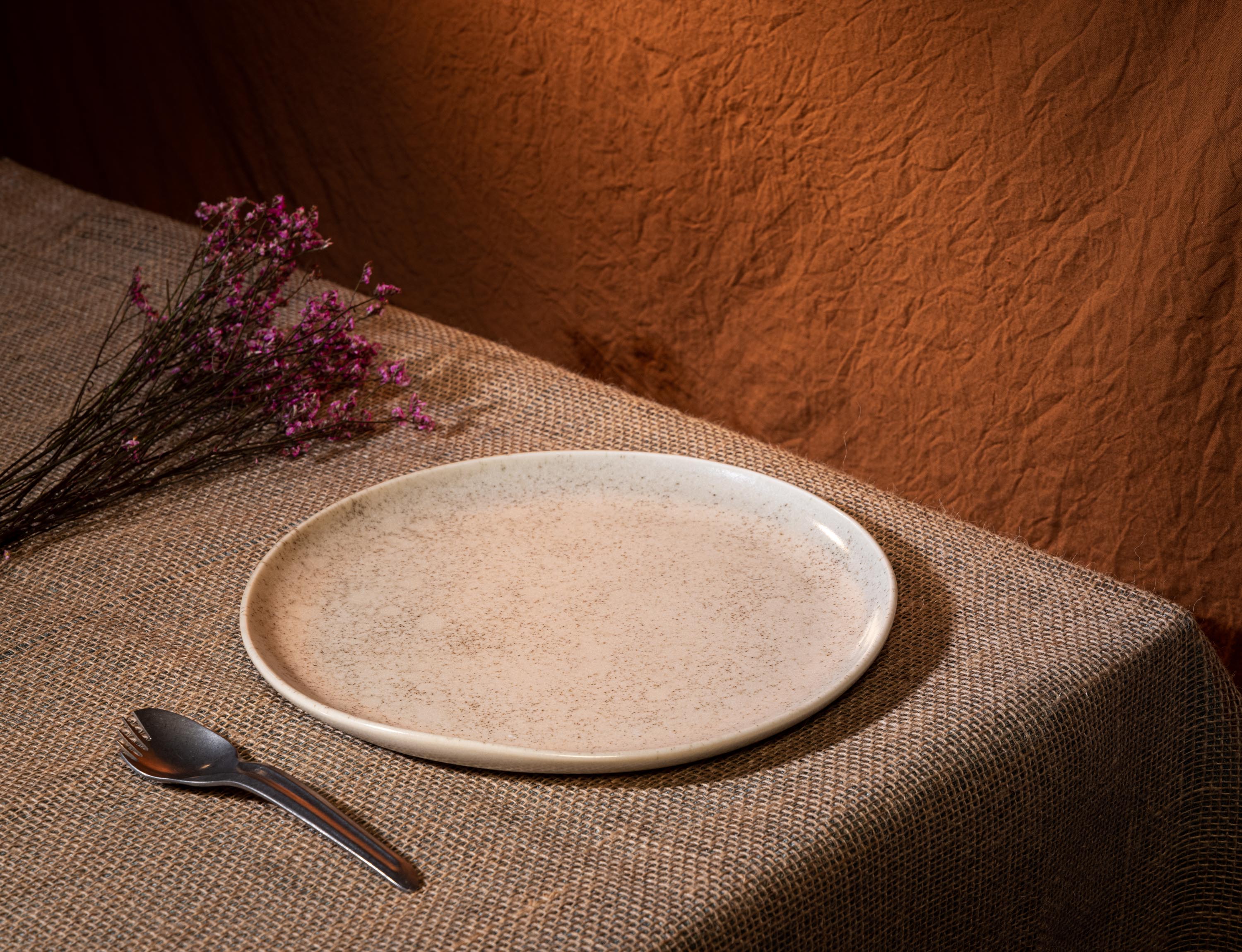 Curved Rim Porcelain Dinner Coupe Plate