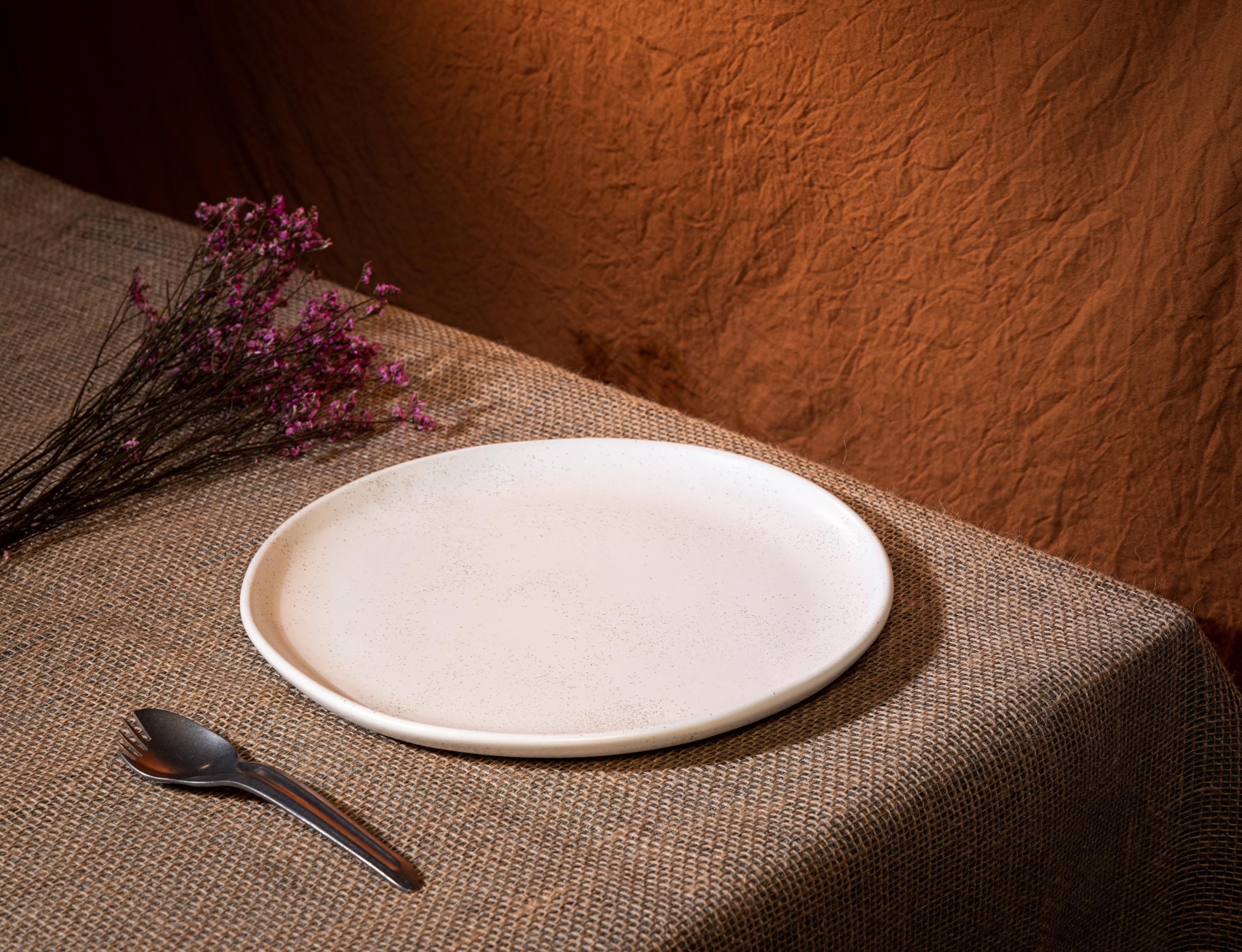 Curved Rim Porcelain Dinner Coupe Plate