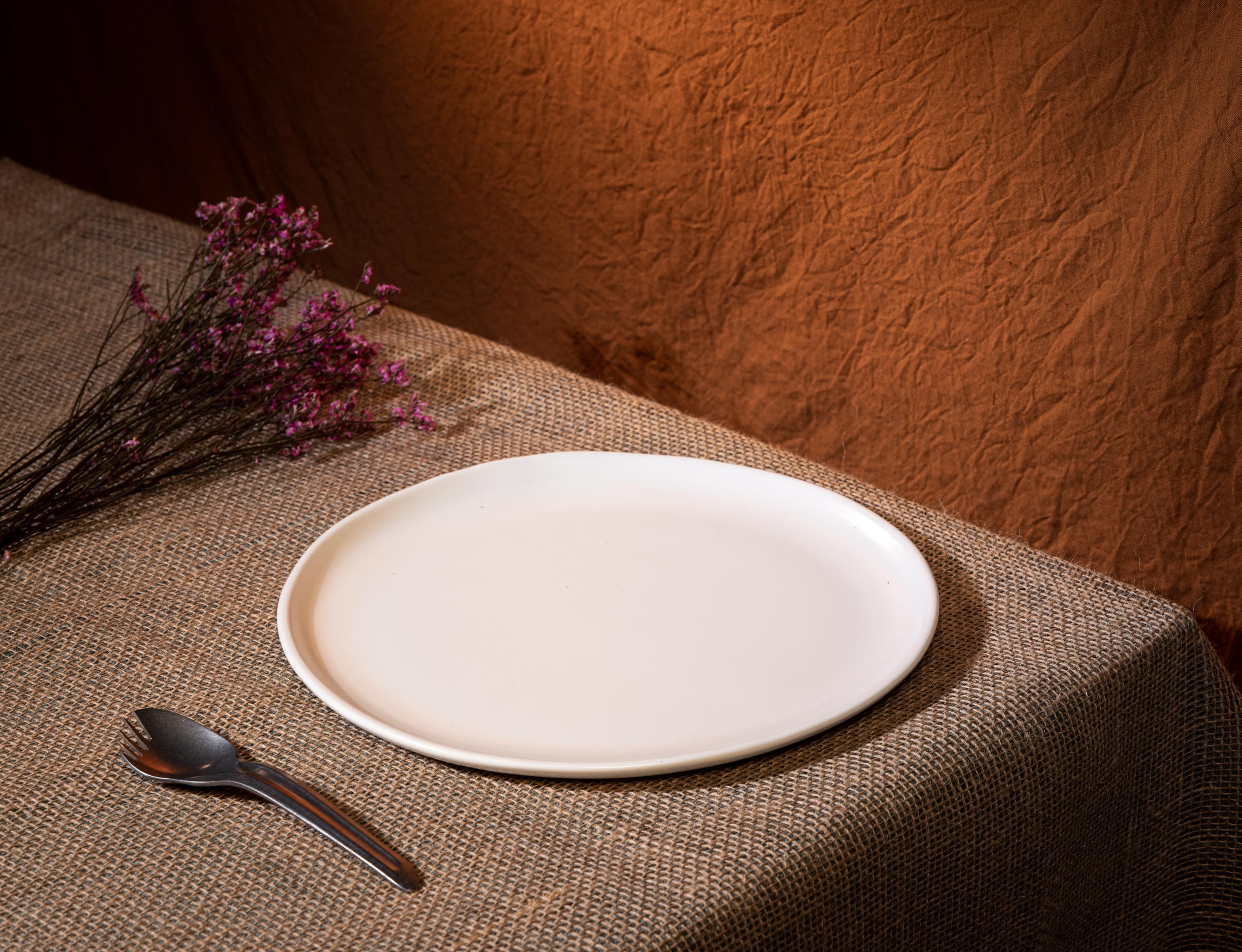 Curved Rim Porcelain Dinner Coupe Plate
