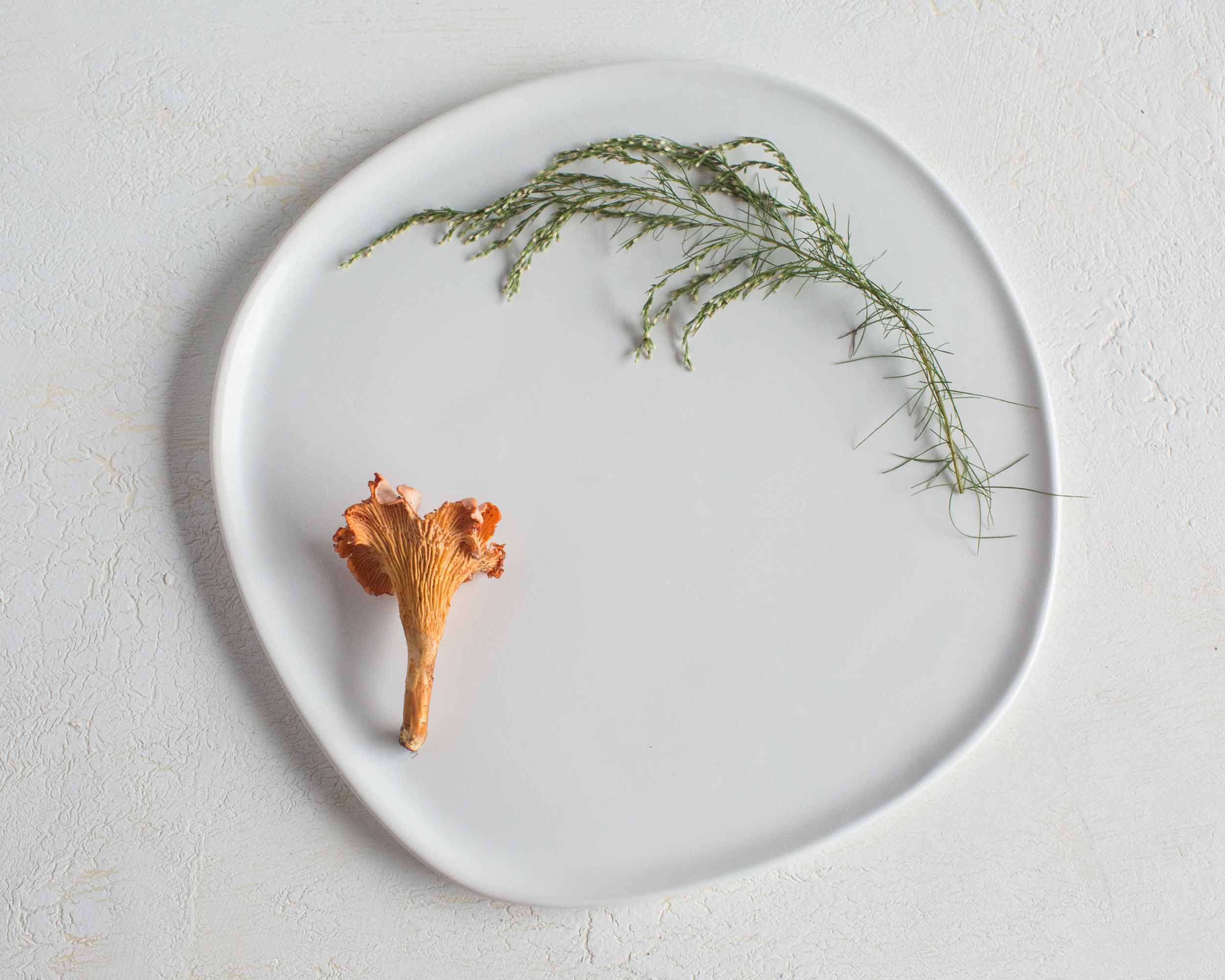 Organic Low Rim Porcelain Dinner Plate