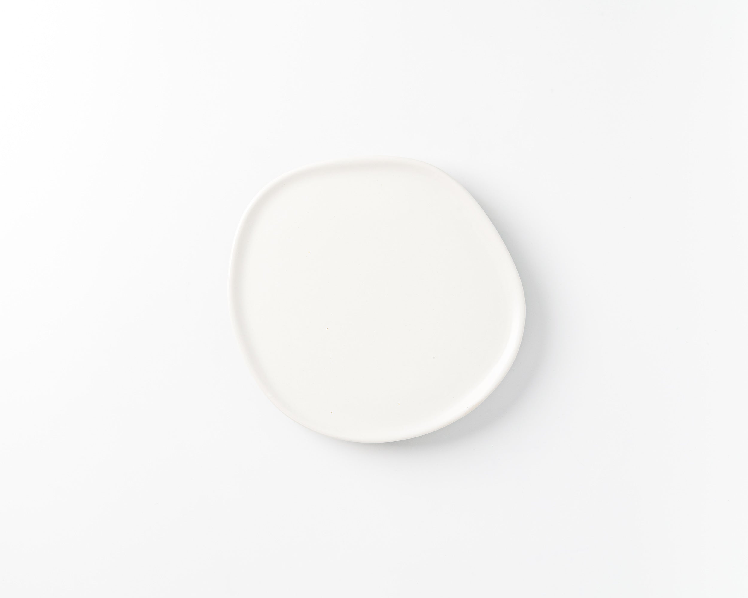 Five Piece Organic Rim Dinnerware Setting